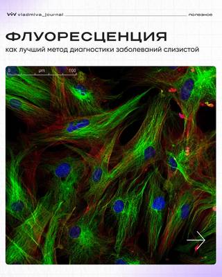 Прямая автофлуоресценция: диагностика слизистой без лишнего времени.